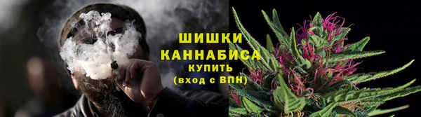 шишки Армянск