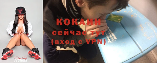 шишки Армянск