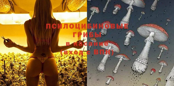 кокс Нягань