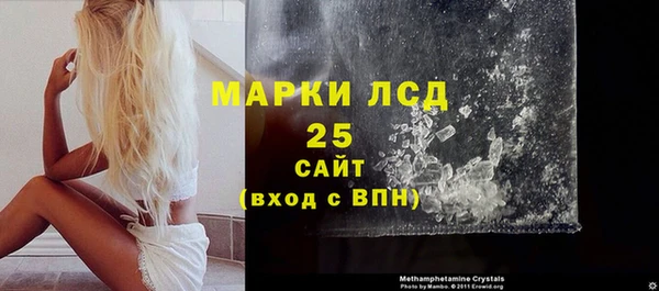 стаф Алзамай